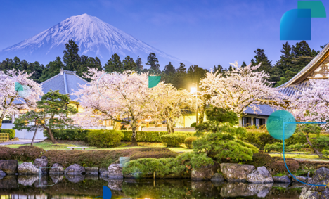 Why You Should Consider Working In Japah