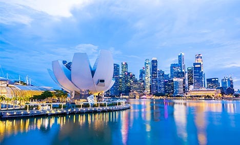 Sg Insights